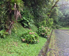 Drenagem da Estrada da Graciosa 16.02.23