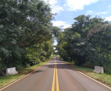 Passa Gado km 59,38 PRC-466 em Borrazópolis