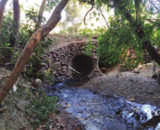 Ponte atual sobre o Ribeirão Pinguim