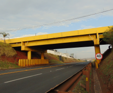 Viaduto km 0,19 PR-444 em Arapongas