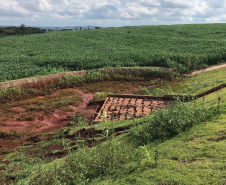 Contorno de Marechal Cândido Rondon - obra em andamento