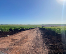 Pavimentação PR-239 entre Toledo e Bragantina