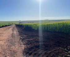 Pavimentação PR-239 entre Toledo e Bragantina