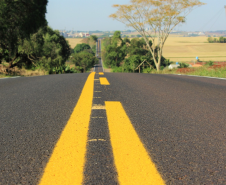 Serviços de conservação do pavimento e faixa de domínio de rodovias estaduais