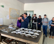 Curso de Laboratório de Concreto Asfáltico com foco na Dosagem Marshall e no Controle Tecnológico