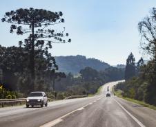 BR-373, entre Ponta Grossa e Prudentópolis