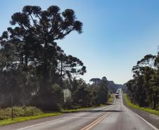 BR-373, entre Ponta Grossa e Prudentópolis