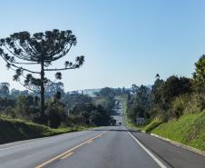 BR-373, entre Ponta Grossa e Prudentópolis