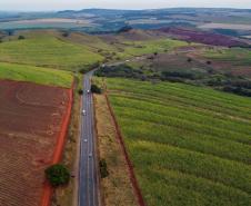 BR-153, entre Santo Antônio da Platina e Jacarezinho.