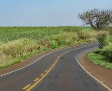 BR-369/PR-855 em Bandeirantes