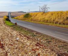 BR-369 em Cambará