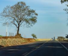 BR-369 em Cambará