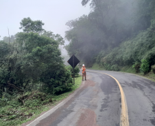 Monitoramento geotécnico da Estrada da Graciosa