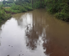 PR-459 em Clevelândia