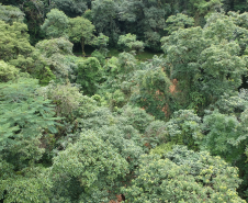 Estrada da Graciosa (PR-410), imagens de drone