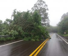 PR-170 em Pinhão, entre Faxinal do Céu e a usinda hidrelétrica