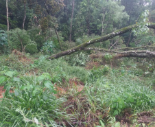 PR-170 em Pinhão, entre Faxinal do Céu e a usinda hidrelétrica