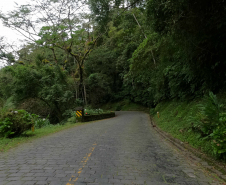 Estrada da Graciosa