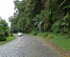 Estrada da Graciosa - vista de câmera de veículo