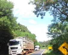 Serviços do Proseg Paraná na PR-317, em Toledo