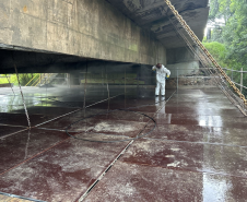 Manutenção da ponte sobre o Rio Verde, na PR-423, limite entre Campo Largo e Araucária