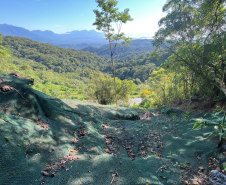 BR-277 contenção de talude km 39