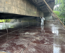 PR-423 Campo Largo e Araucária reforma ponte Rio Verde