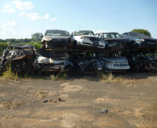 Lote 01