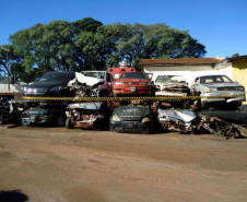 Lote 44