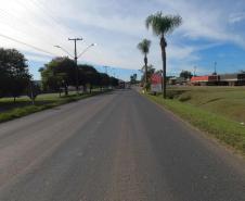 PR-151 em Palmeira