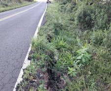 PR-170 ponto 04 km 478,841
