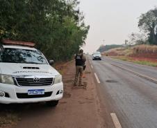 PR-317: fiscalização por radar em teste