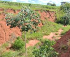 PR-323 Tapejara local de obra de combate a erosão