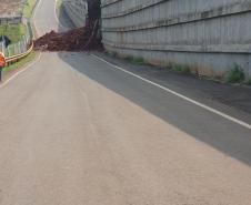 PR-445 - viaduto em Irerê danificado pelas chuvas