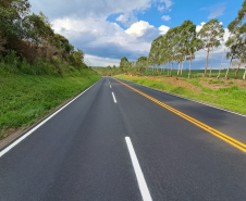 Rodovia estadual recebendo últimos serviços de conservação