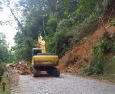 Estrada da Graciosa: retirada de raízes de árvores caídas