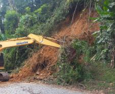 Estrada da Graciosa: retirada de raízes de árvores caídas