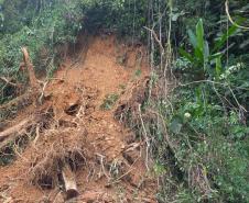Estrada da Graciosa: retirada de raízes de árvores caídas