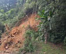 Estrada da Graciosa: retirada de raízes de árvores caídas