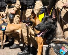 Entrega de viaturas e cães policiais para o BPRv