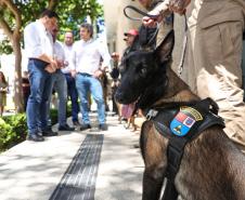 Entrega de viaturas e cães policiais para o BPRv