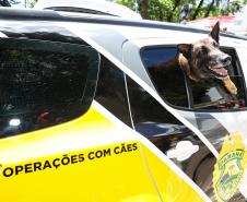 Entrega de viaturas e cães policiais para o BPRv