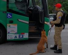 Operação do DER/PR para fiscalização de transporte rodoviário comercial de passageiros