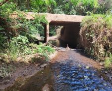 PR-239 Mato Rico a Roncador - ponte sobre o Rio Cancã
