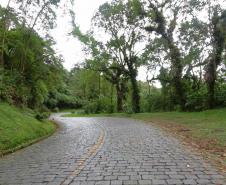 Estrada da Graciosa (PR-410)