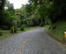 Estrada da Graciosa - trecho de pavimento poliédrico