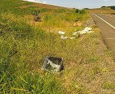 Lixo descartado na faixa de domínio de rodovias estaduais