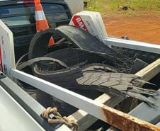 Lixo descartado na faixa de domínio de rodovias estaduais e recolhido por equipe de operação de tráfego