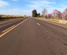 PR-685 em Tamboara