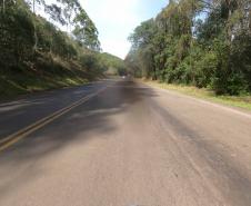 PR-460 entre Pitanga e Nova Tebas